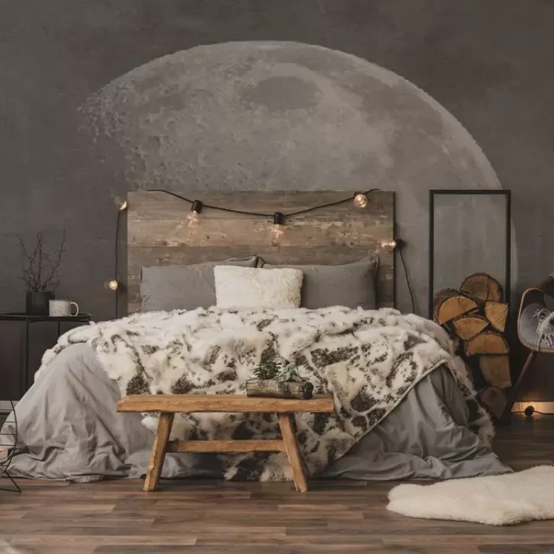 Soft side of the moon, VLAdiLA Tapet cu luna pentru un dormitor elegant Livrare expres