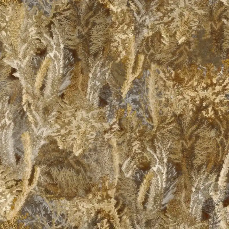 Ofertă Coral, Variant 1, Glamora