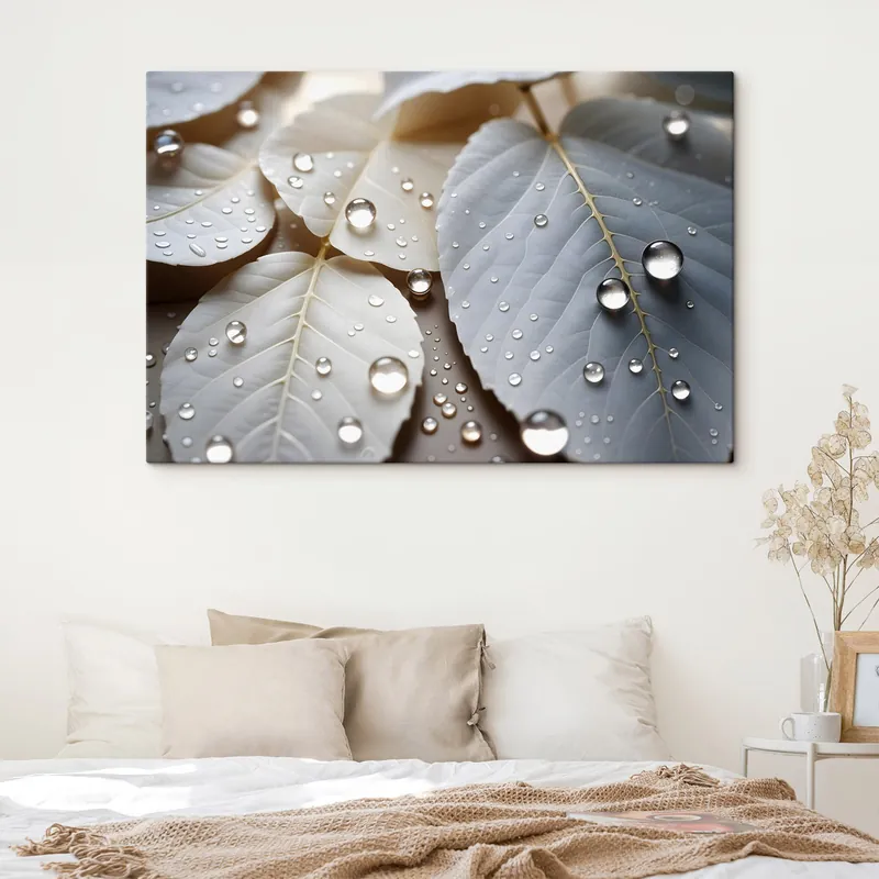 Pictură pe pânză Close-up de frunze albe acoperite cu picături de apă, o compoziție minimalistă, fundal neutru Nr s43159 Ofertă