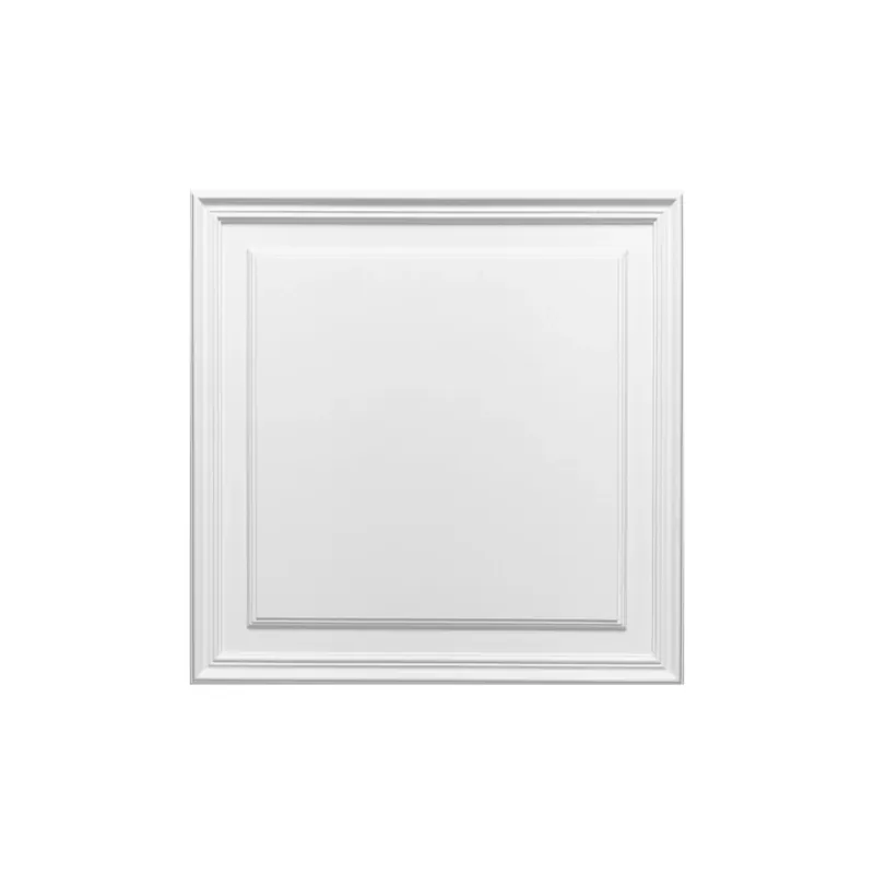 Mai ieftin Panou Usa Luxxus D503, Dimensiuni 55 X 55 X 1.7 cm, Orac Decor Eleganță și stil cu panouri decorative