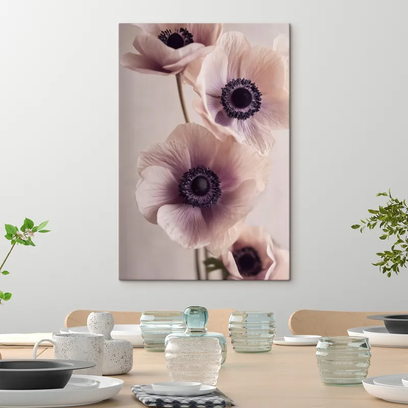Pictură pe pânză Anemone delicate cu centre întunecate, pastelate Nr s45875 Retur ușor