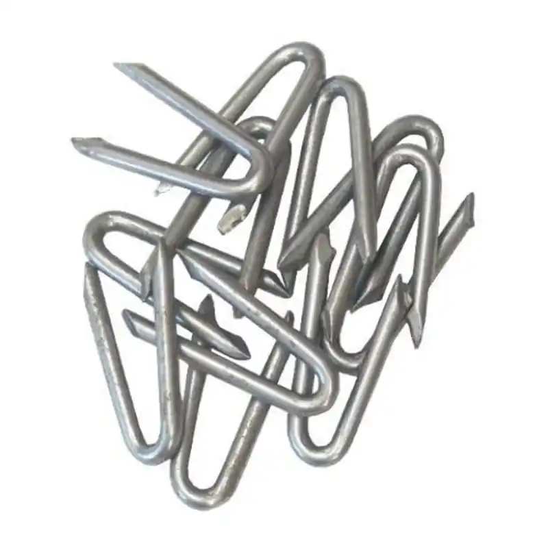 Expediere rapidă Cuie scoabe 3 x 30 mm - Cipcos Mar