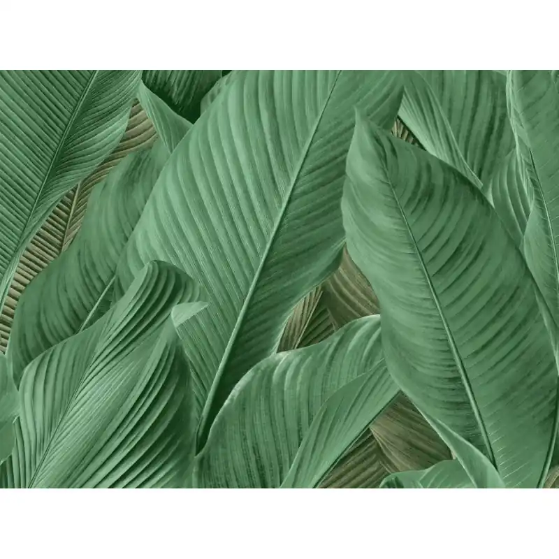 Reduceri Tapet Zeno Tahiti – Design Italian cu Frunze Tropicale, Vinil pe Vlies Verde 13304