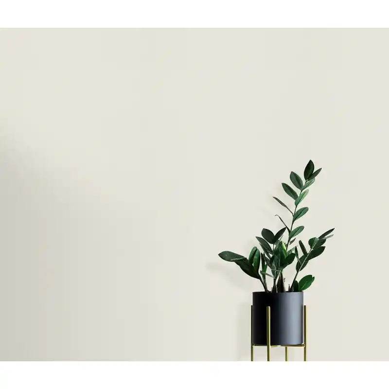 Nu rata Tapet modern, model uni, living, dormitor, Elle IV, 10444-01