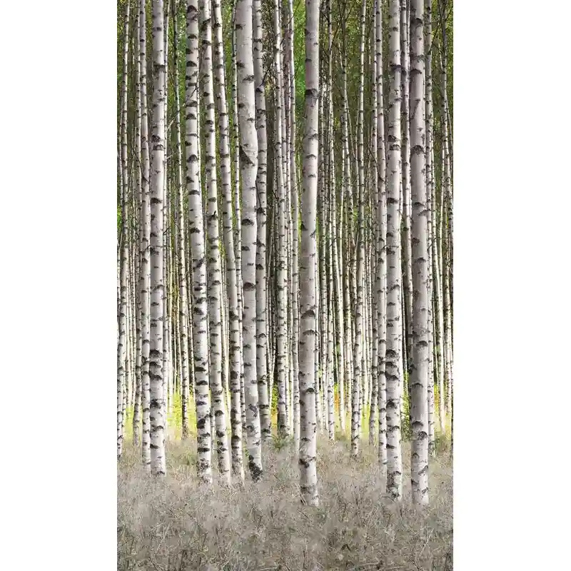 Cumpără acum Tapet Marburg decorativ, padure, gri, verde, living, birou, Profi Smart Art Easy, 47220