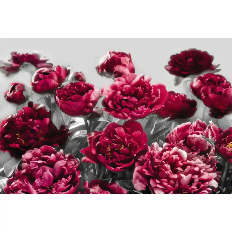 Ofertă Fototapet floral cu bujori rosii-dintr-o bucata