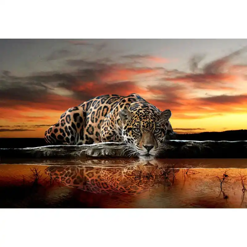 Fototapet cu leopard, Consalnet 126P4 Reducere de preț