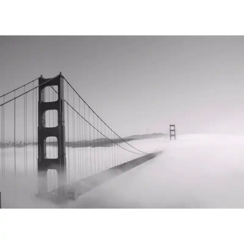 Chilipir Fototapet alb-negru fara imbinari BW8