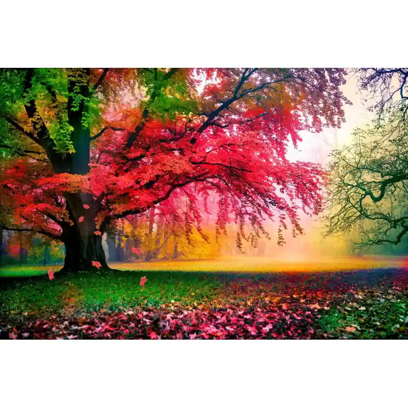 Ofertă de sezon Fototapet cu pom inflorit in parc FO136