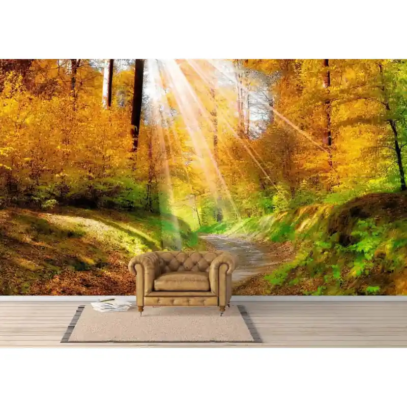 Fototapet padure toamna FO110 Retur gratuit