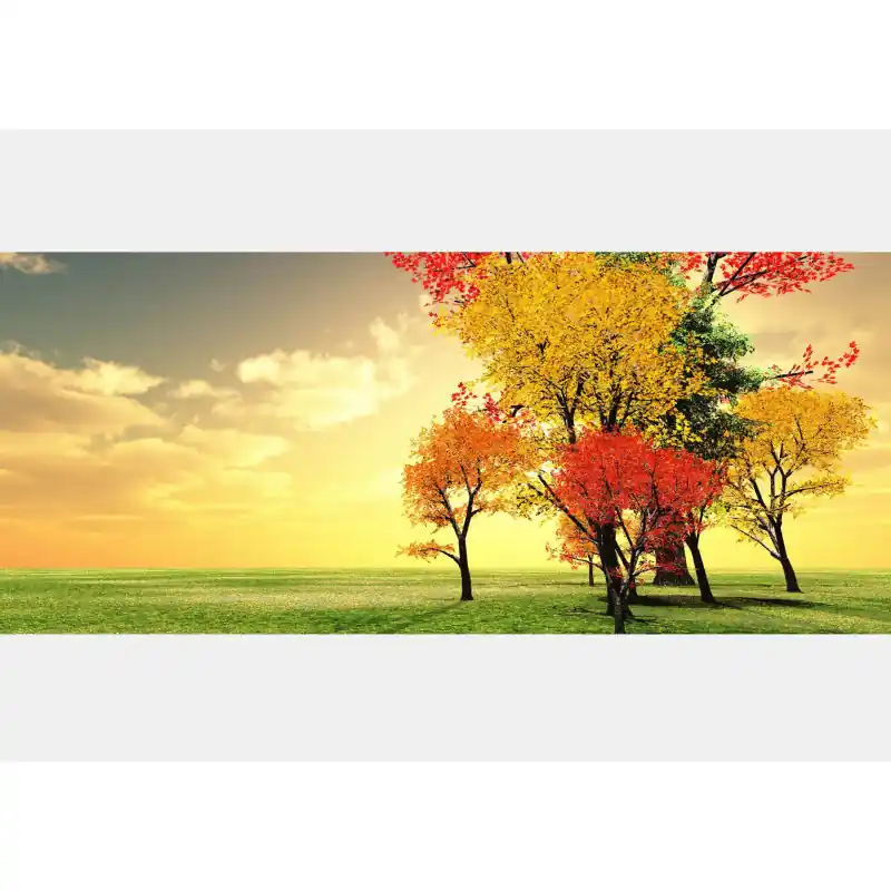 Livrare rapidă Fototapet natura FO34