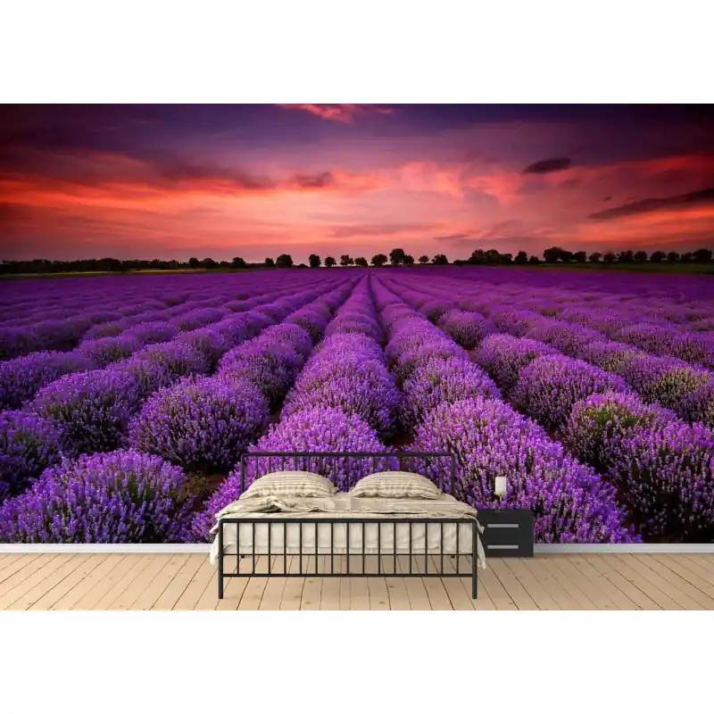 Reducere de preț Fototapet camp cu lavanda FO15