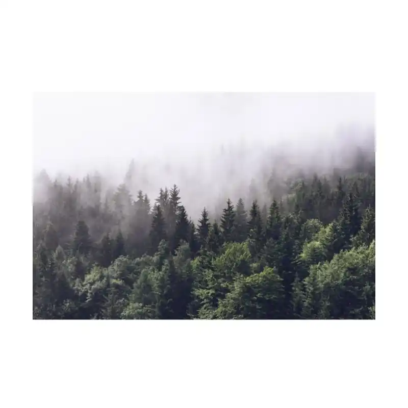Reducere extra Fototapet fara imbinari padure in ceata FA17