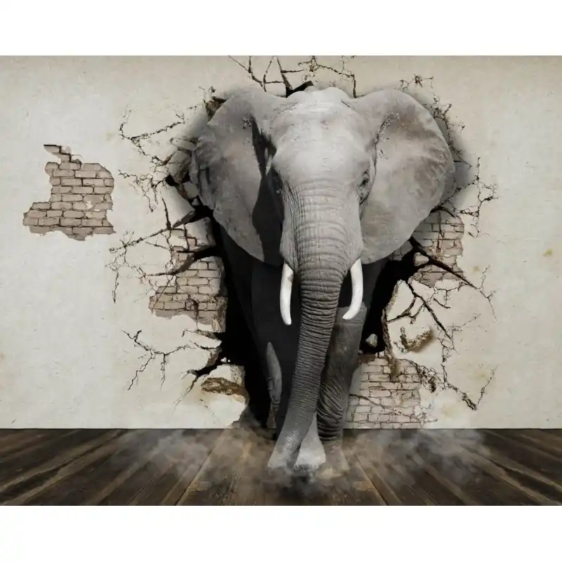 Retur gratuit Fototapet dintr-o bucata cu elefant AN135