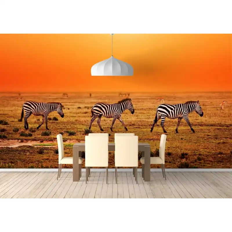 Preferatul clienților Fototapet dintr-o bucata cu zebre AN115