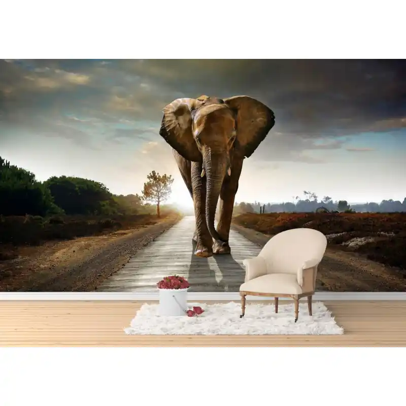 Expediere rapidă Fototapet dintr-o bucata cu elefant AN79