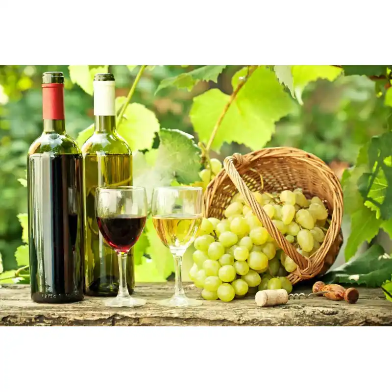 Ofertă exclusivă Fototapet cu struguri si vin ET151