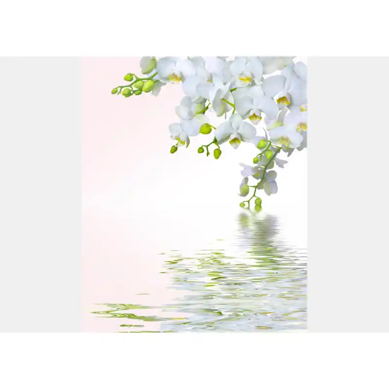 Fototapet floral cu Orhidee ORH10 Livrare expres