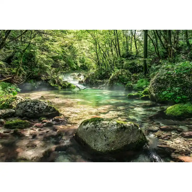 Fototapet digital cu padure Komar 8-135 Discount