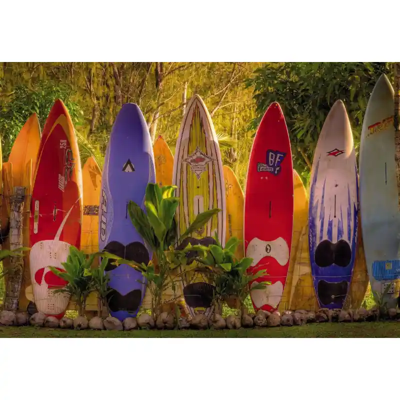 Lichidare de stoc Fototapet Maui multicolor Komar 8-902