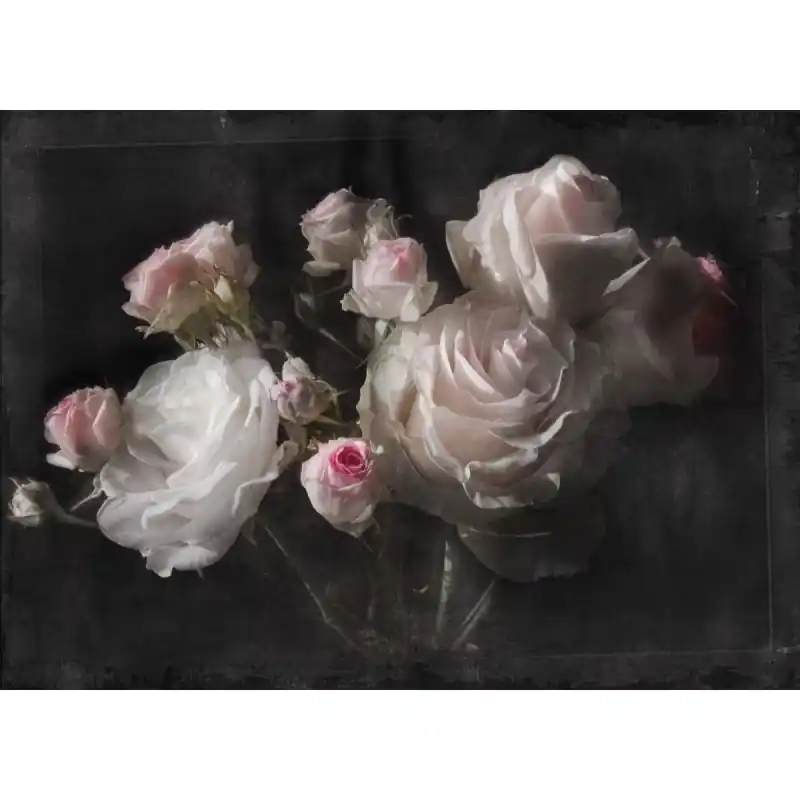 Fototapet floral, Komar 4-876 Reduceri