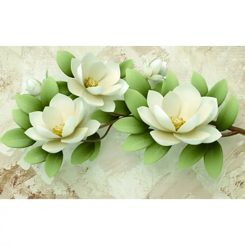 Fototapet Botanica, flori albe, pe fundal, crem, B11 Chilipir
