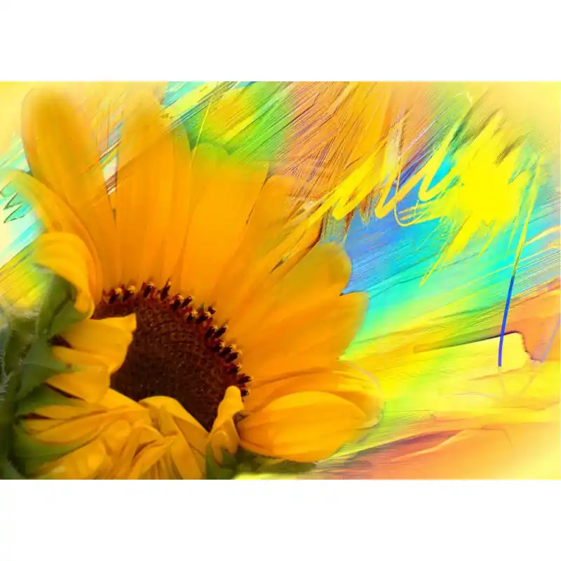Cumpără acum Fototapet floral, pictura cu floarea soarelui, galben, NAT10