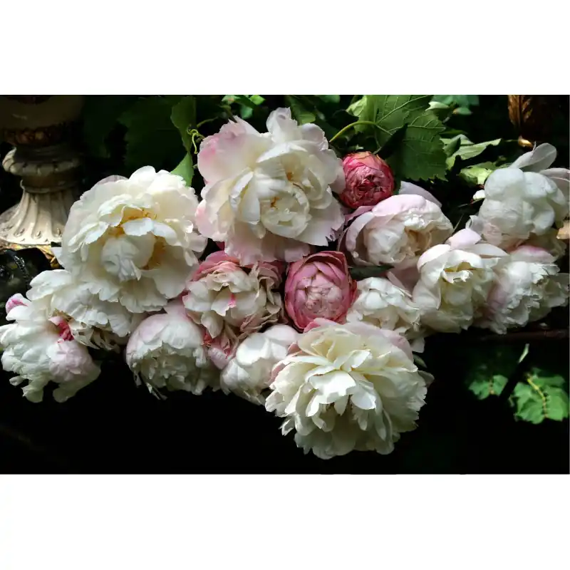 Fototapet floral, buchet de flori multicolor, FL107 Retur ușor