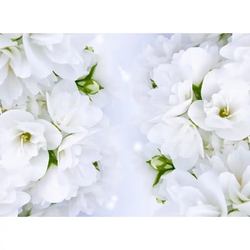 Fototapet floral, flori albe, FL108 Popular