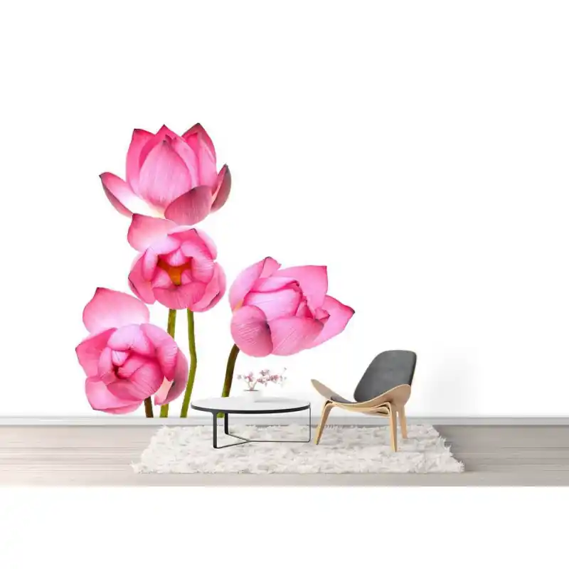 Ofertă de sezon Fototapet floral, flori roz, pe fundal, alb FL62