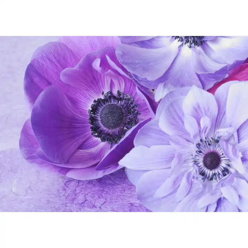 Plată sigură Fototapet floral, cu flori mov, FL9
