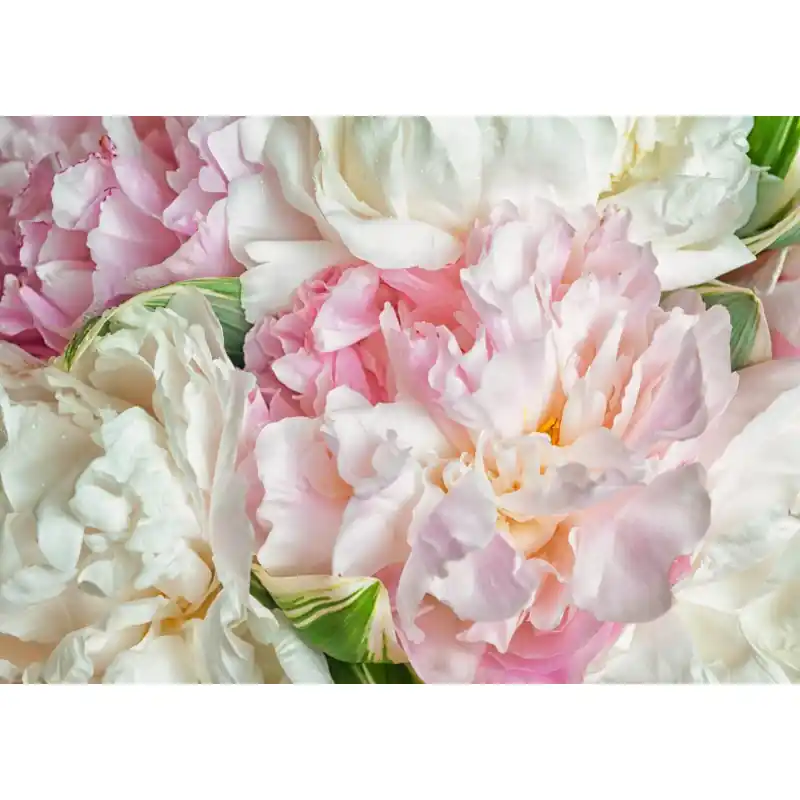 Fototapet floral multicolor, FL19 Chilipir