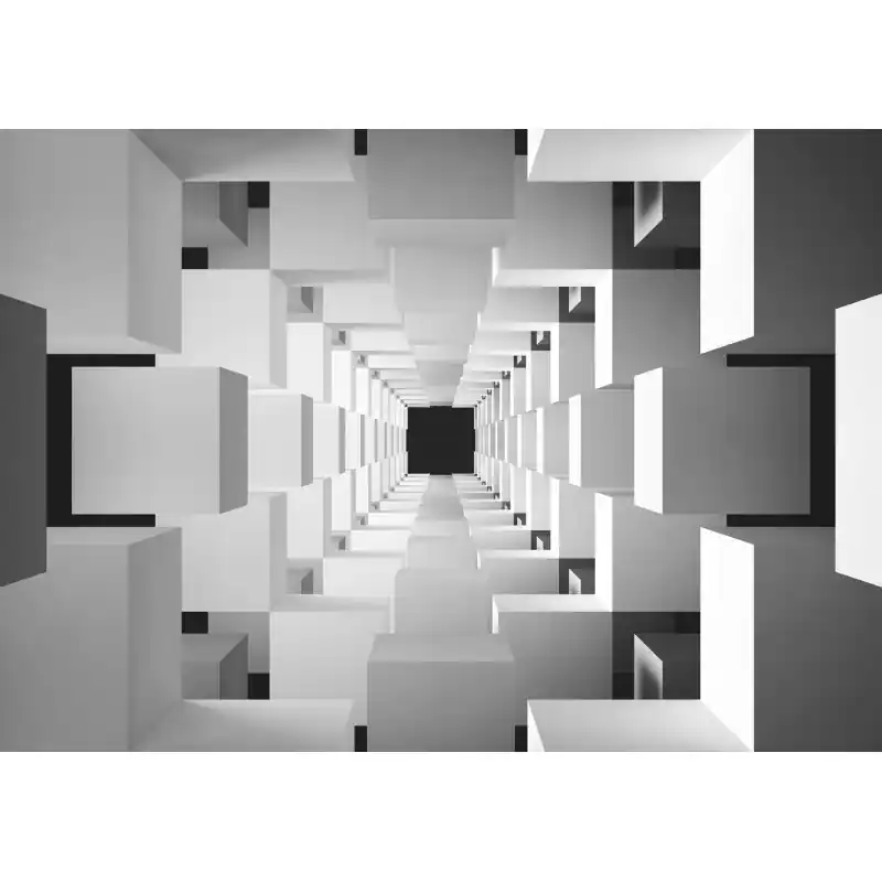 Fototapet 3D, geometric, alb, negru, 3D13 Cumpără acum