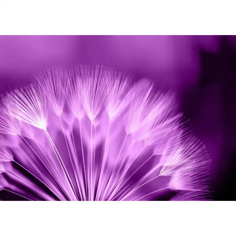 Fototapet floral Consalnet 257P8 Preț mic
