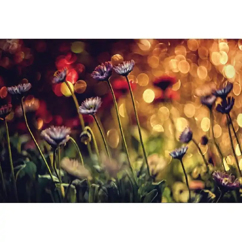 Plată securizată Fototapet floral Wizard & Genius P5156