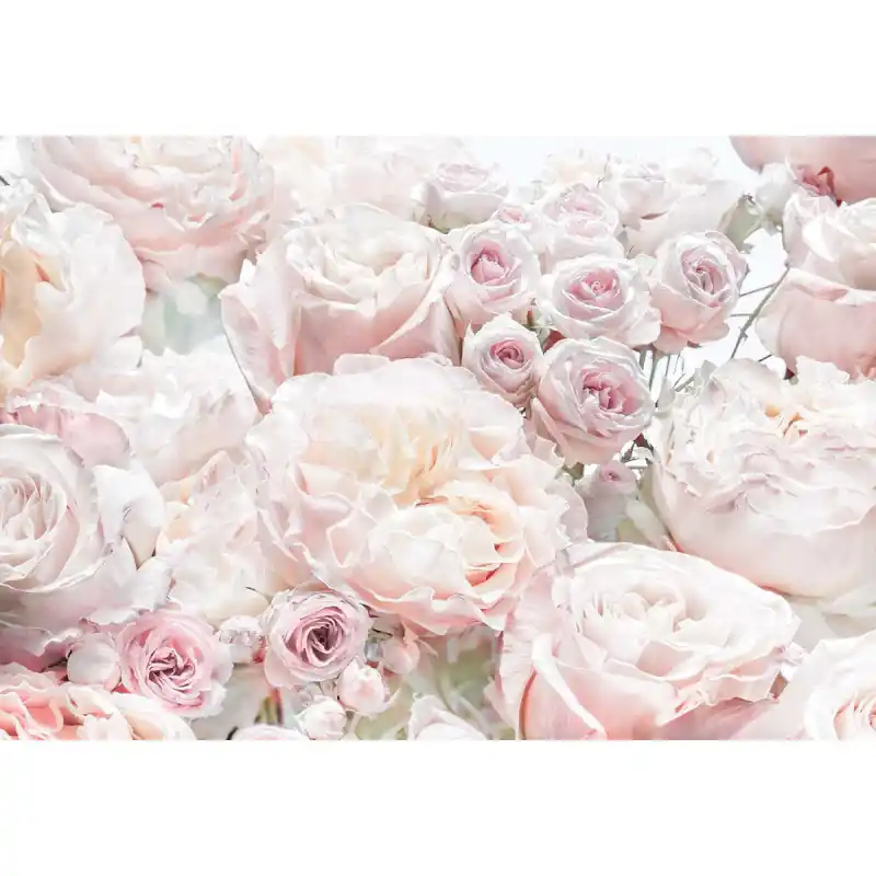 Fototapet floral Komar 8-976 Cel mai vândut