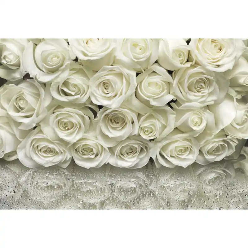 Calitate înaltă Fototapet floral Komar 8-314