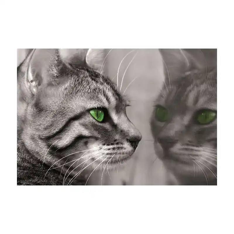 Fototapet animale Consalnet 139P8 Ofertă