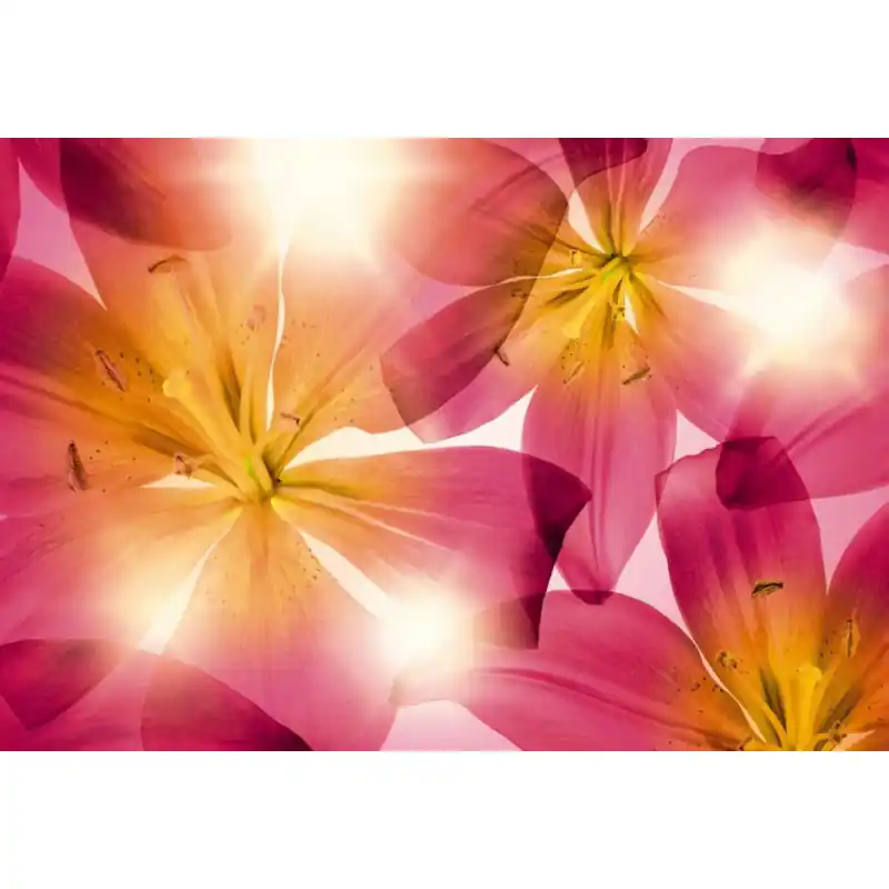 Reducere Fototapet floral Komar 8-928