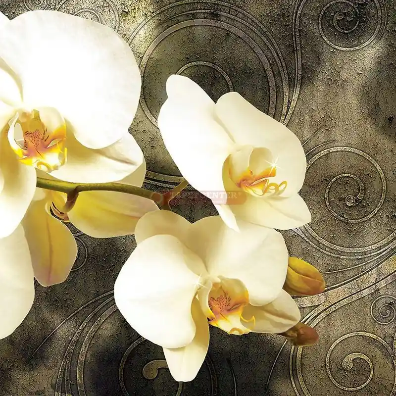 Fototapet floral Consalnet 2948P8 Ofertă exclusivă