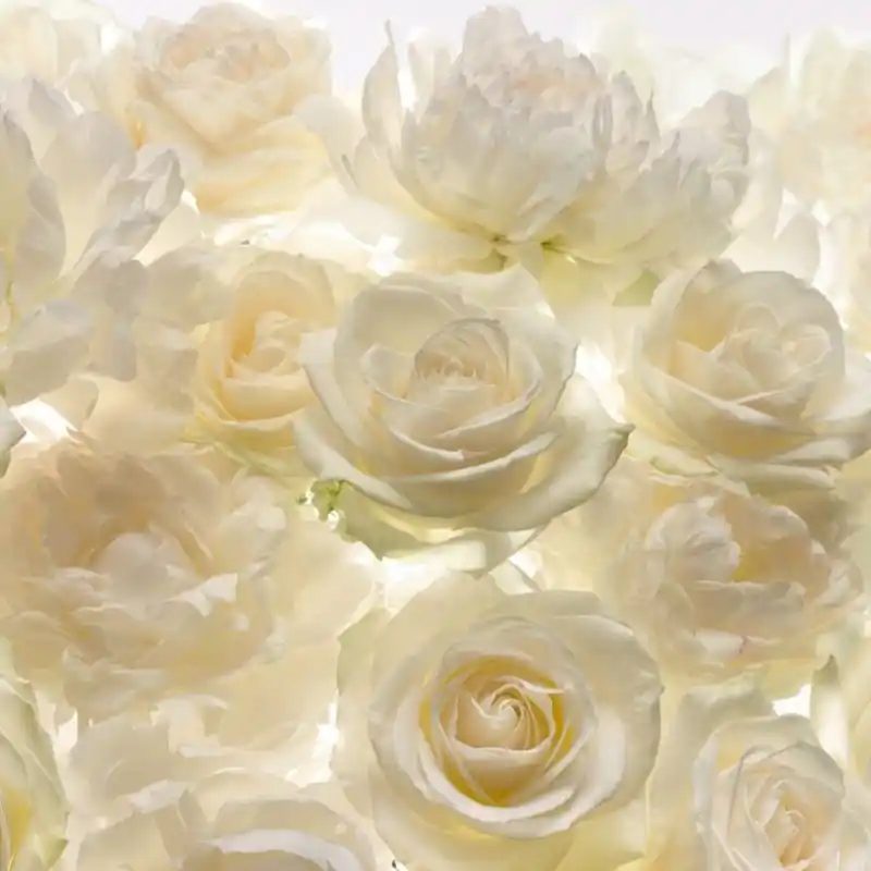 Cel mai bun preț Fototapet floral Komar XXL4-007