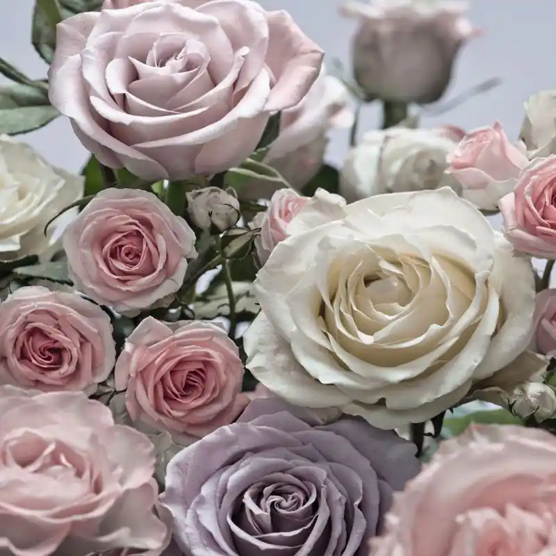 Fototapet floral Komar 8-736 Retur gratuit