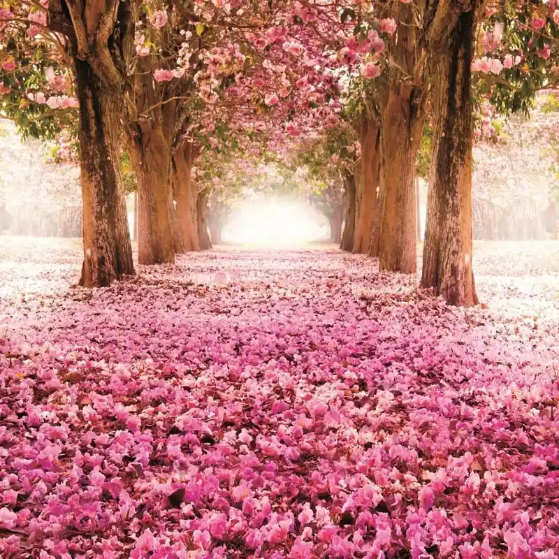 Fototapet floral Consalnet 851VEXXL Ofertă exclusivă