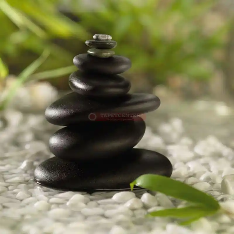 Fototapet Feng Shui Komar 1-612 Livrare expres