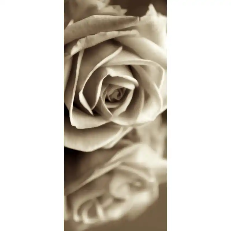 Fototapet floral AG Design FTV1508 Livrare rapidă