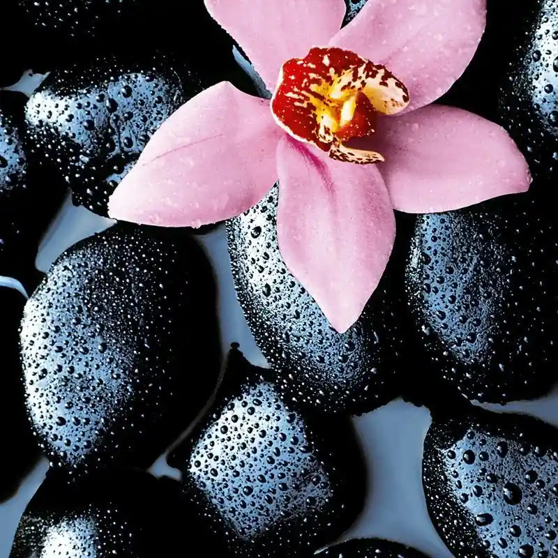 Premium Fototapet floral Wizard Genius 666