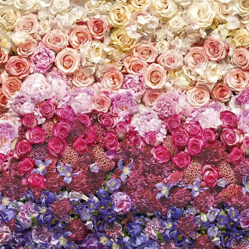 Fototapet floral Komar 8-965 Livrare rapidă
