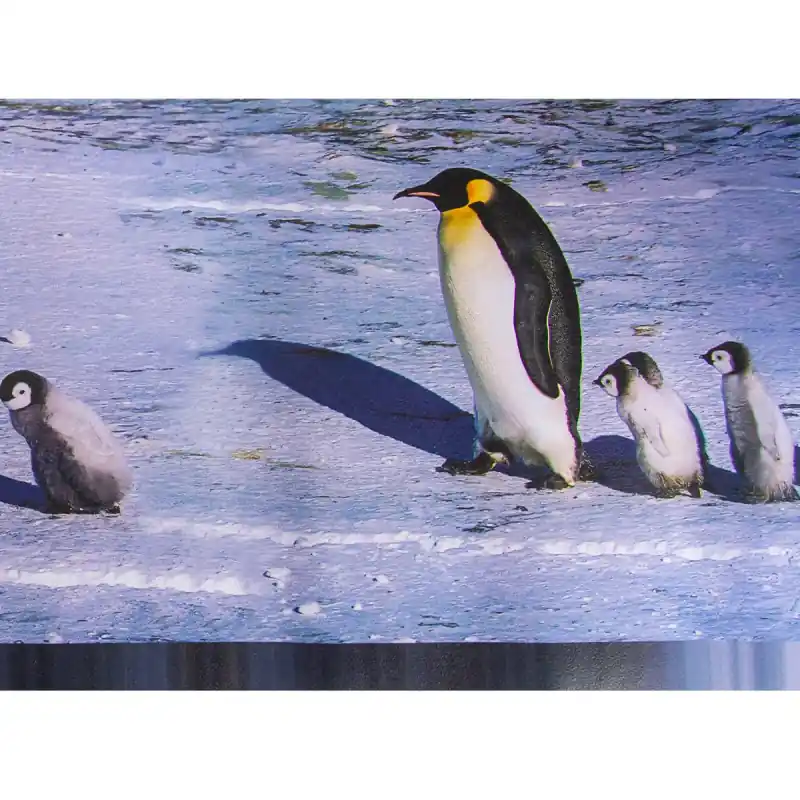 Livrare rapidă Bordura decorativa Zoo 514