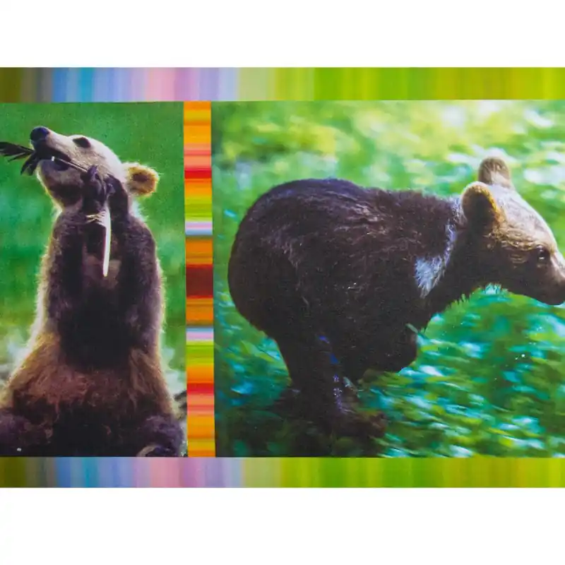 Cumpără acum Bordura decorativa Zoo 518