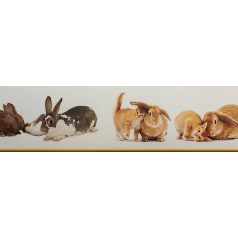 Bordura decorativa Zoo 522 Ofertă limitată